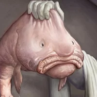 Blobfish