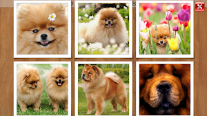 Dogs Puzzles for Kids & Adults. Free jigsaw game! Screenshot 0