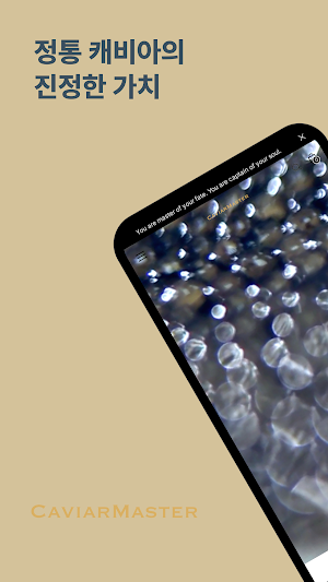 Caviar Master Screenshot 0