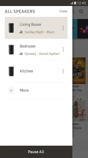 Wireless Audio-Multiroom Screenshot 3