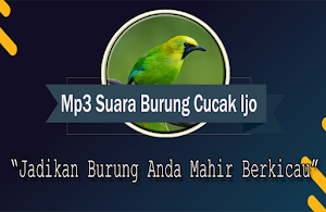 Suara Burung Cucak ijo Betina Offline Screenshot 0