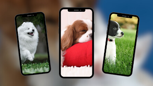 Dogs Wallpaper Screenshot 0