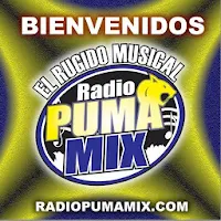 RADIO PUMAMIX