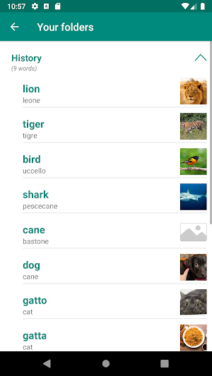 Italian English Dictionary Screenshot 3