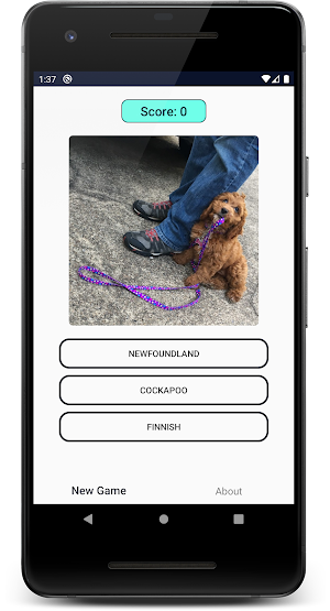 Dogs Quiz: Guess and Learn the Dogs Breeds Screenshot 3