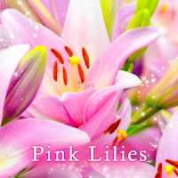 Pink Lilies Theme