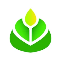 الحواشة | الزراعة السودانية