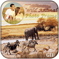 Wild Animals GIF Photo Frame