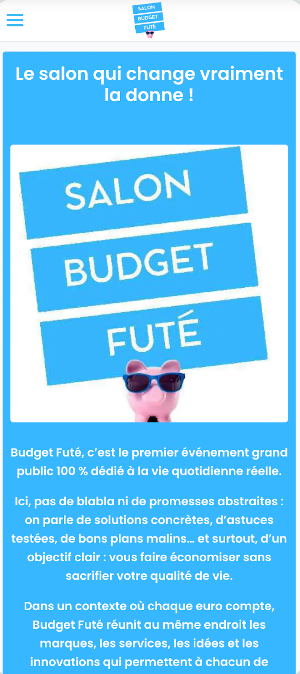 Budget Futé Screenshot 0