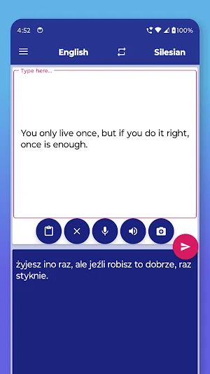 Silesian English Translator Screenshot 2