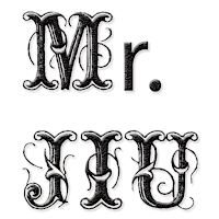 Mr Jiu Collection