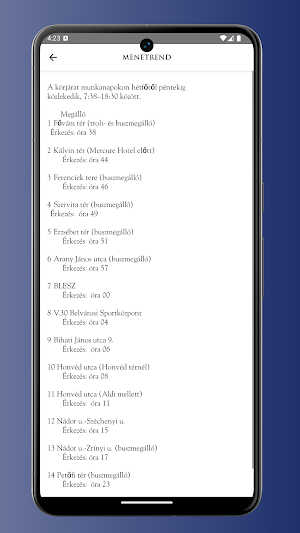 Belvárosi Zöldjárat Screenshot 2