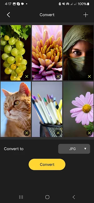 Photo Resizer Ultimate Screenshot 3