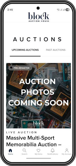 Block Auction House Screenshot 0