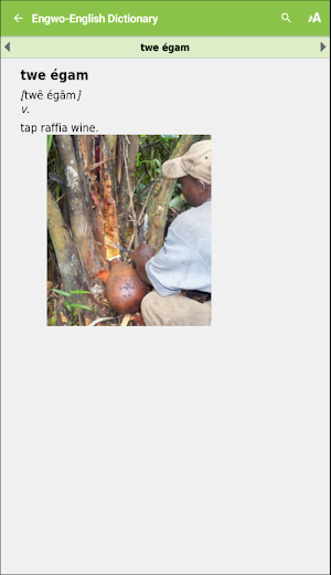 Engwo Dictionary Screenshot 1