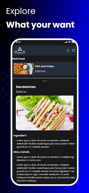 Pioneer Plus Screenshot 2