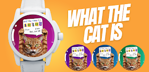 Time is Cat Watch Face Wear Os Screenshot 0