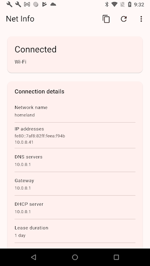 NetInfo Screenshot 0