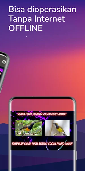 Pikat Sogon Ribut Ampuh Screenshot 1