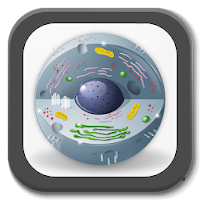 Biology - Lectures