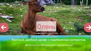Карточки с животными учим Screenshot 3
