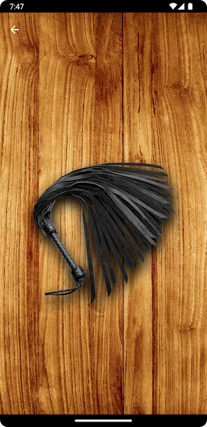 Whip Simulator - Pocket Whip Screenshot 1