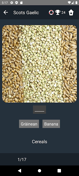 Scots Gaelic Language Tests Screenshot 3