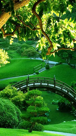 Garden Wallpaper 4K Screenshot 3