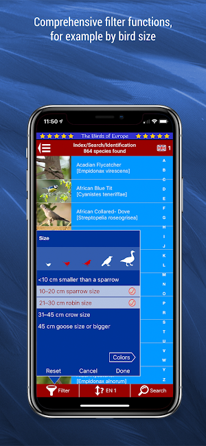 Birds of Europe Screenshot 3