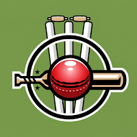 Box Cricket - Scorer