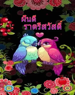 ราตรีสวัสดิ์ Screenshot 0