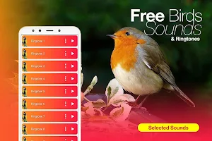 Best Bird Sounds, Calls & Ringtones Screenshot 3