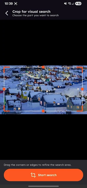 Liquid Lens: Image Search Screenshot 2