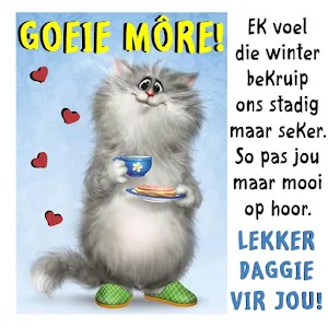 Goeie môre Beelde Screenshot 3