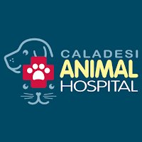 Caladesi Animal Hospital