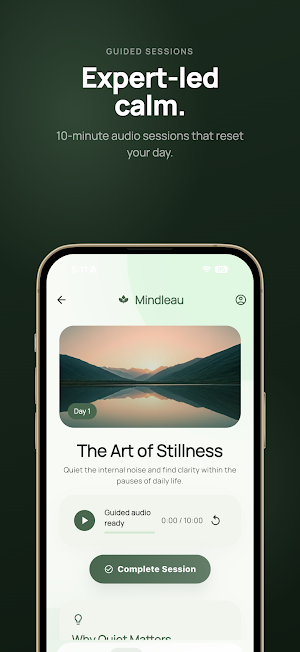 Mindleau: Brain Dump & Journal Screenshot 3