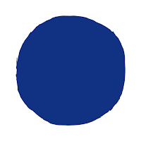 JAPAN BLUE JEANS