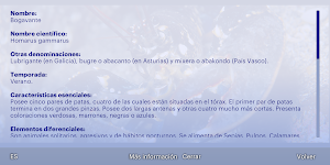 Kofradia Itsas-Etxea Screenshot 2