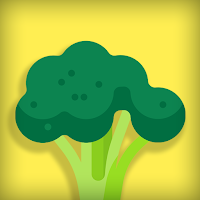 Vegetarian Lunch Recipes App