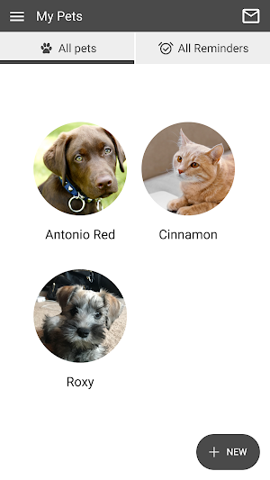 Newberry Group Screenshot 2