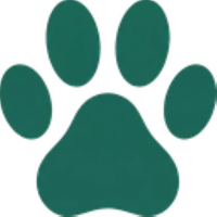 PawsNow - Sve za pse