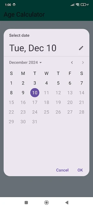 Age Calculator Screenshot 1