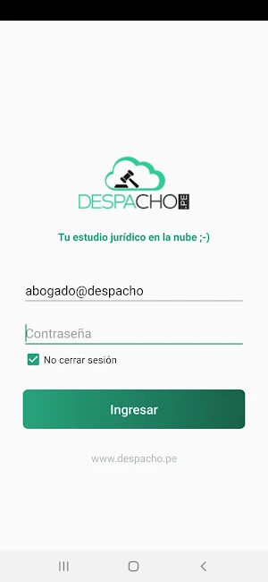 Despacho.pe Screenshot 3