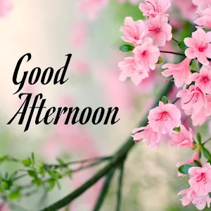 Good Afternoon Images Screenshot 0
