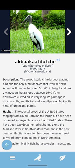Apsáalooke Birds & Plants Screenshot 1