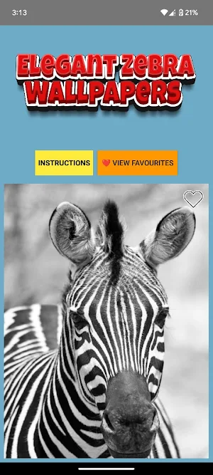 Elegant Zebra Wallpapers Screenshot 0