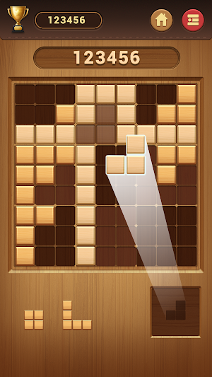 Wood Block Sudoku Game -Classic Free Brain Puzzle Screenshot 2