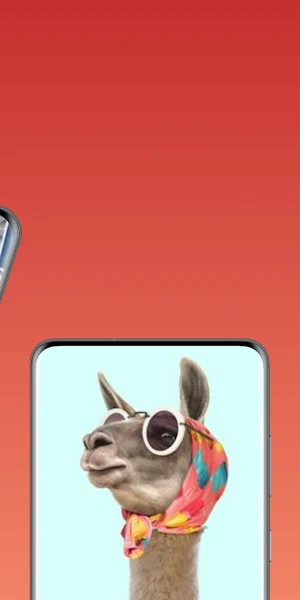 funny wallpaper Screenshot 1