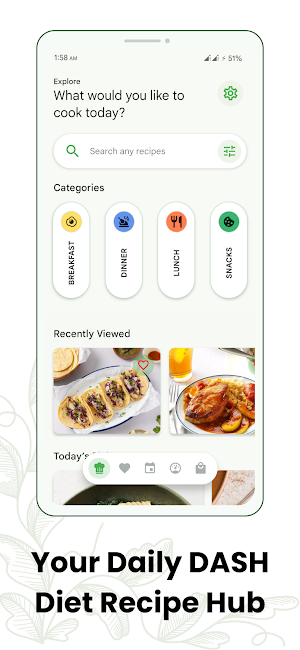 High Protein DASH Diet Recipes Screenshot 2