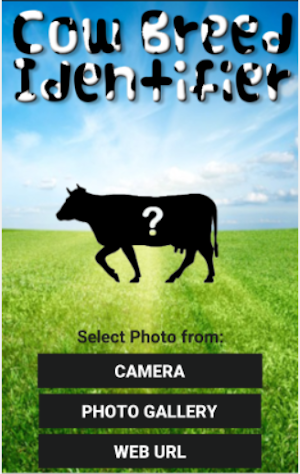 Cow Breed Identifier Screenshot 2